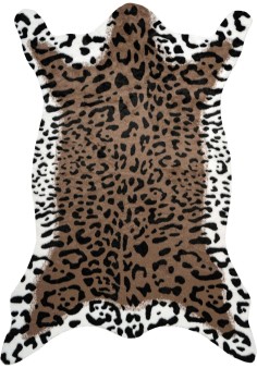 Desert 325 Marron / Blanc