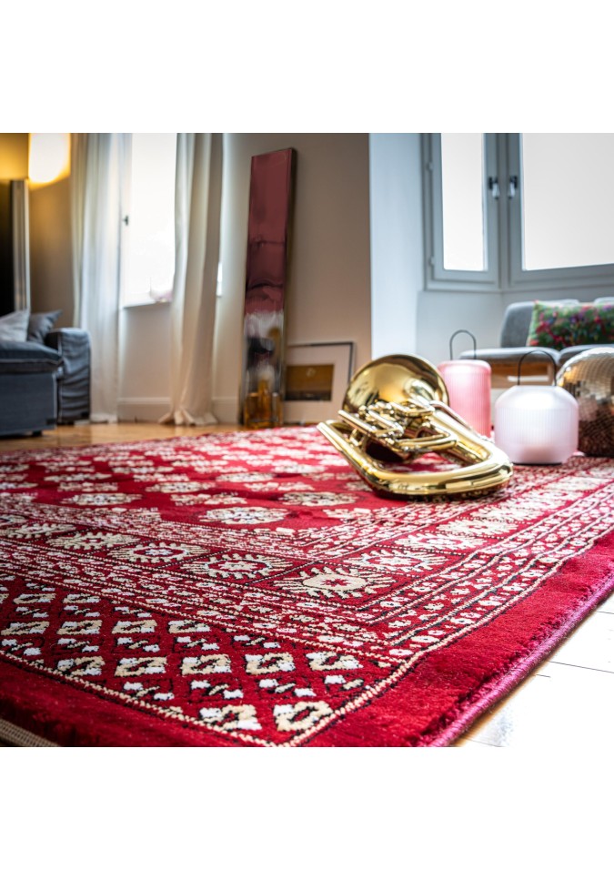 Tapis Oriental Doux Rouge - Ariana 880