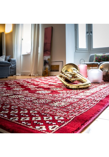 Tapis Oriental Doux Rouge - Ariana 880