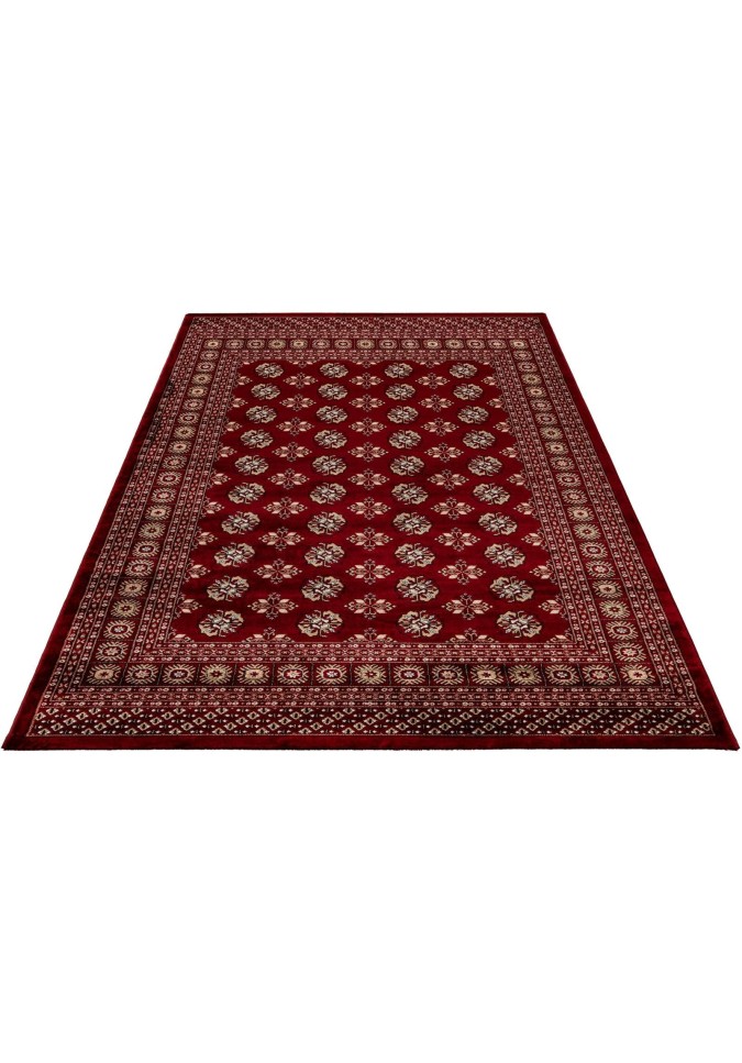 Tapis Oriental Doux Rouge - Ariana 880
