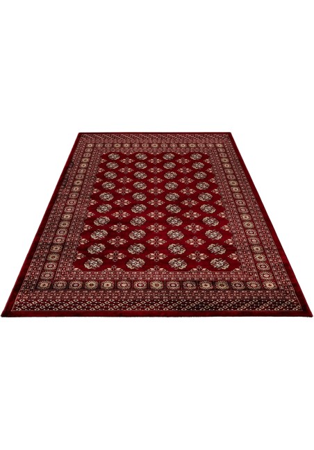 Tapis Oriental Doux Rouge - Ariana 880
