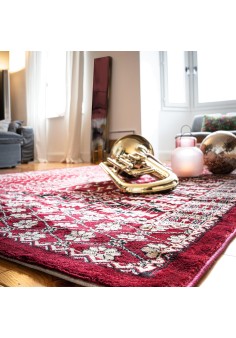 Tapis style oriental aux poils doux - My Ariana 883 2