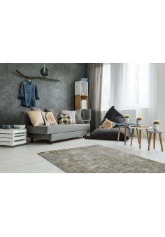 Tapis Vintage - Etna 110 Argenté 2