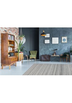 Tapis Design Phoenix 210 Gris 2