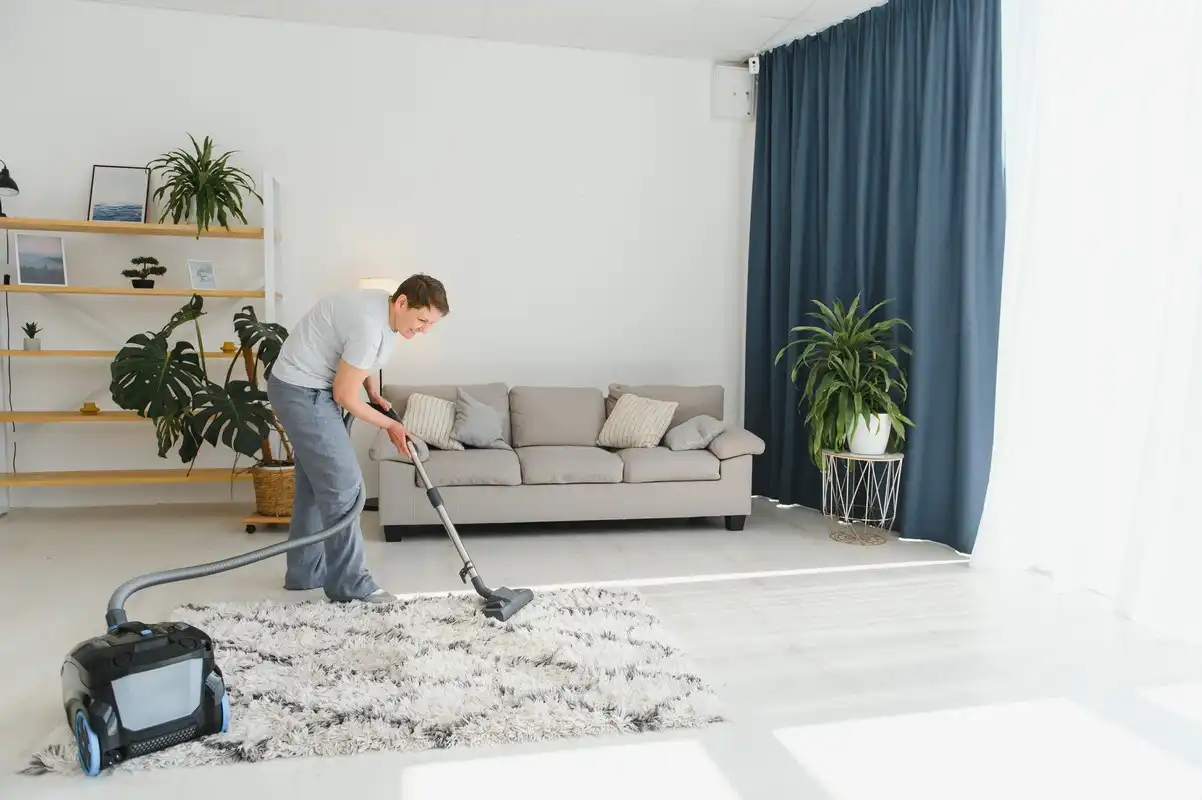 Passage Aspirateur sur tapis long