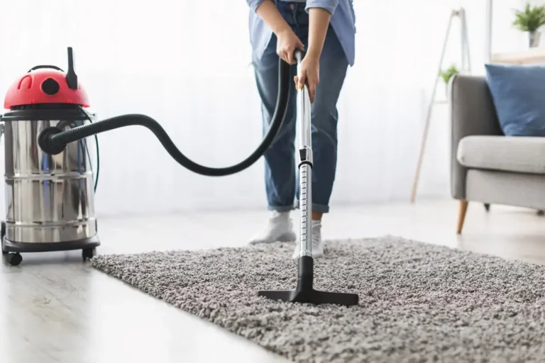 Passage Aspirateur sur tapis long