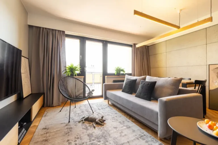 salon avec un tapis avec la taille idéale avec un chat posé dessus