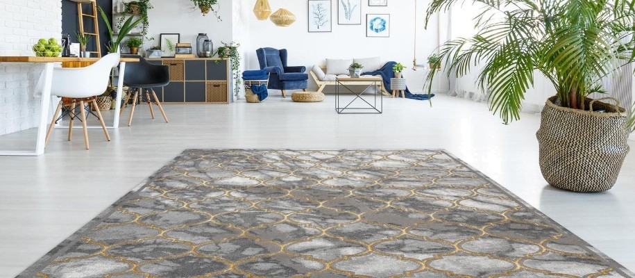 Tapis de salon 200x300